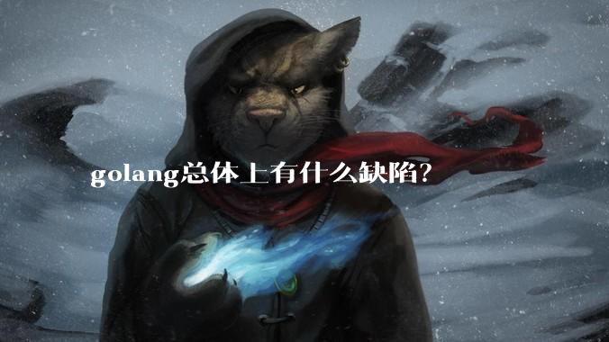 golang总体上有什么缺陷？