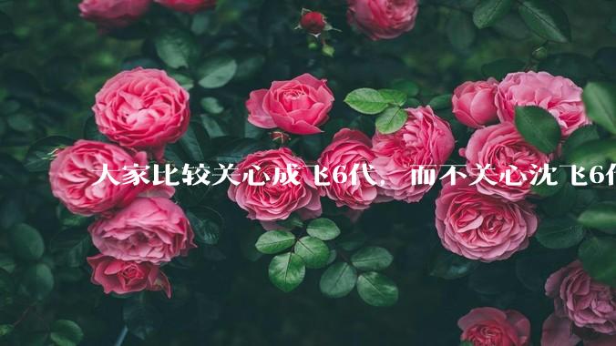大家比较关心成飞6代，而不关心沈飞6代?是不是已经默认沈飞6代机不行?沈飞6代机外形更像战斗机?