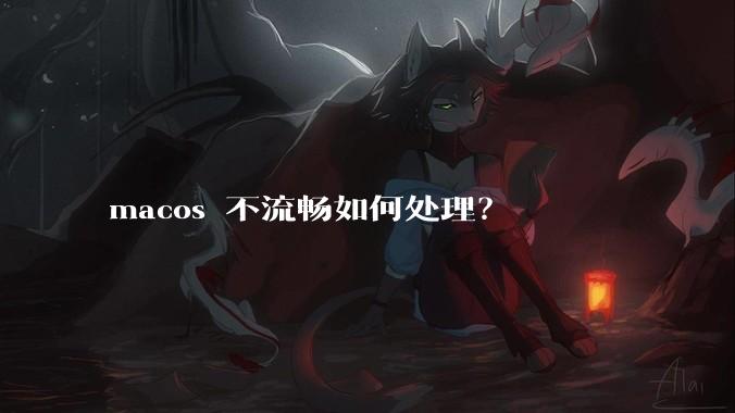 macos 不流畅如何处理？