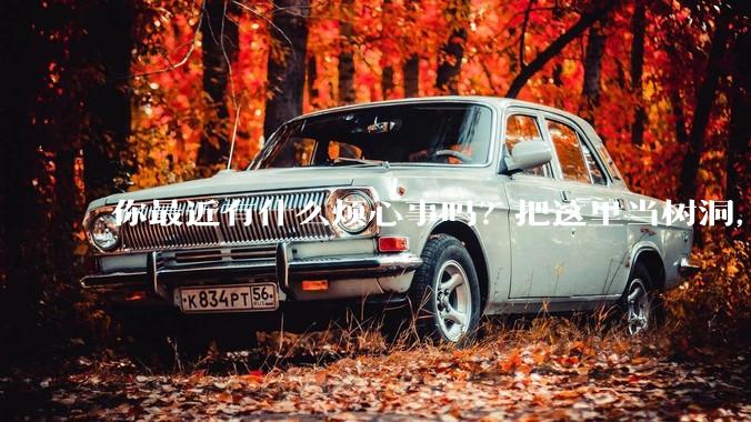 你最近有什么烦心事吗？把这里当树洞，说出来，可以吗？