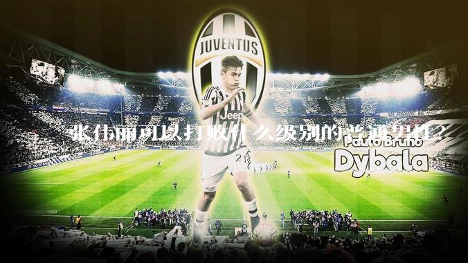 张伟丽可以打败什么级别的普通男性？