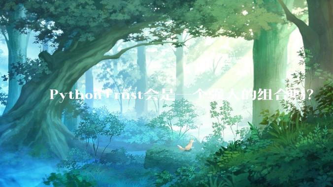 Python+rust会是一个强大的组合吗？