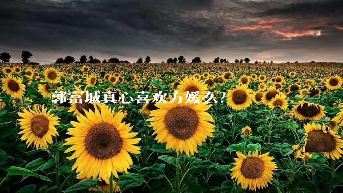 郭富城真心喜欢方媛么？